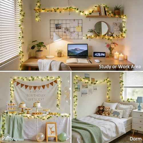 100 LED Vines with Fairy Lights USB (100 Count)