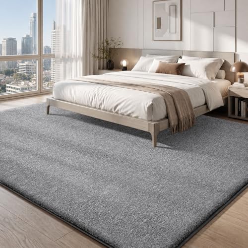 6x9 Area Rugs for Living Room Bedroom