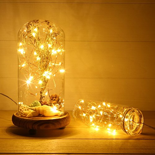 Fairy Lights 10ft 30 LED Mini String Lights Battery Operated Firefly Starry Lights for Wedding (20 Feet)