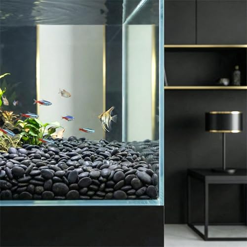 River Rocks Aquarium Gravel (480 Ounce)