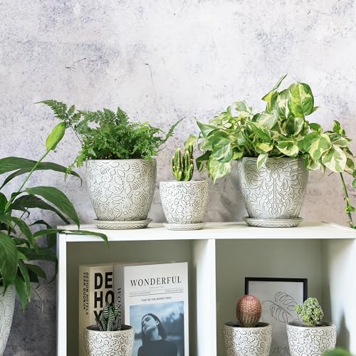 6 Inch Ceramic Planter Pots with Drainage Hole and Saucers for Indoor Plants (2 Count)