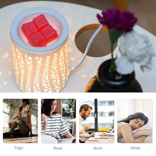 Electric Wax Melt Warmer for Scented Wax or Oil Ceramic Wax Warmer