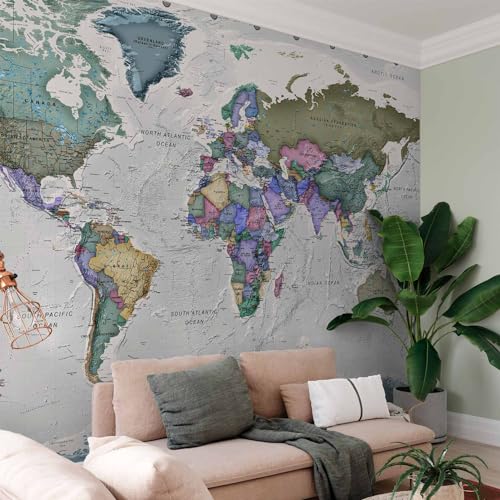 Wall Mural World Map 154x110 in (118.18 Sq Ft)