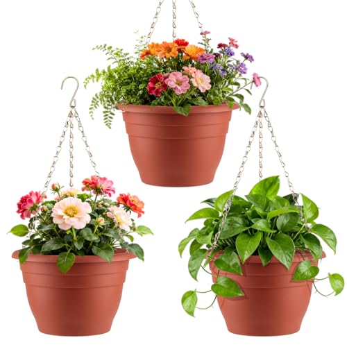 Hanging Planters 11 Inch (3 Count)