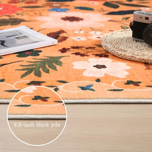 Runner Rug 2x6 Washable