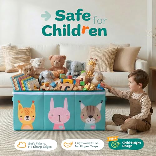 Extra Large Toy Storage Organizer with Lid