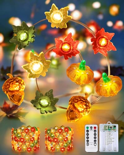 2 Pack 30 LED Fall Decorations