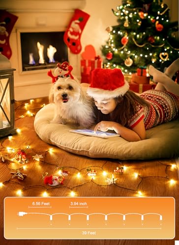 LED Christmas Mini Lights