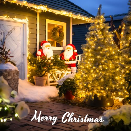 500 LED Christmas Lights Outdoor (163 Foot)