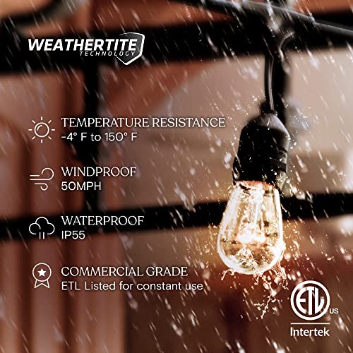 Ambience Pro Incandescent Outdoor String Lights (48 Foot)