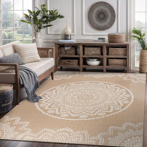Outdoor Rug 8x10 Modern Area Rugs for Indoor and Outdoor Patios and Porches