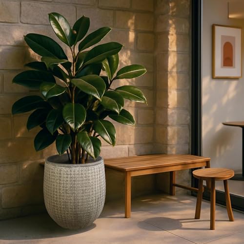 14.5" Round Planter