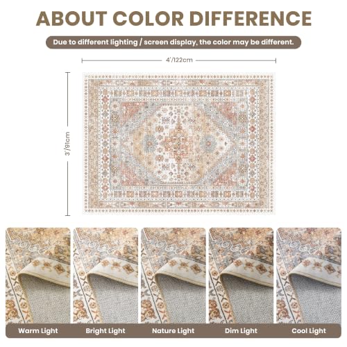 3x4 Rugs for Entryway (12 Sq Ft)