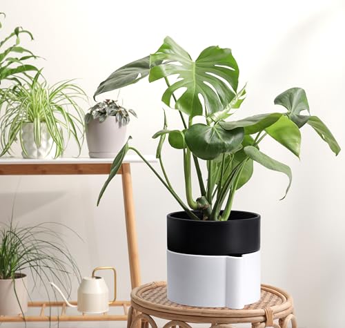 8 Inch Self Watering Planter Pot with Terracotta Insert