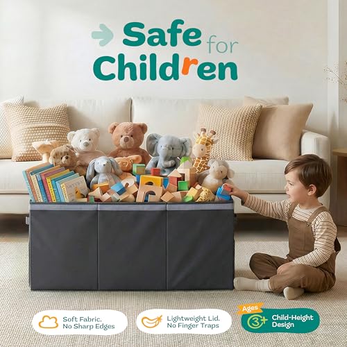 Extra Large Toy Storage Organizer with Lid