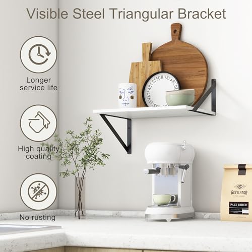 Floating Shelves Set of 2 (2 Count)