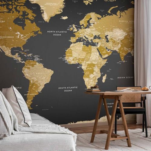Wall Mural World Map 197x110 in