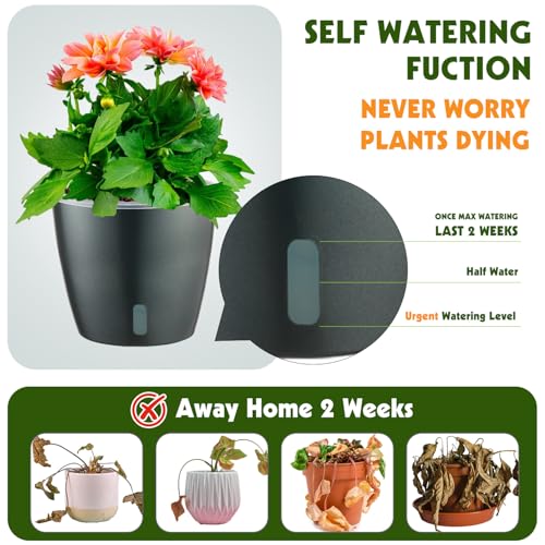Self Watering Pots for Indoor Plants (6 Count)