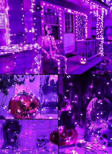 Purple Battery Operated Christmas String Lights with Timer