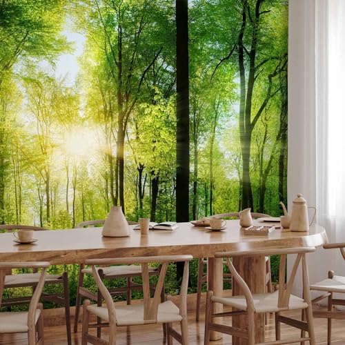 Wall Mural Wallpaper
