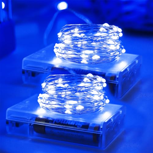 Christmas Blue Fairy String Lights Battery Operated Powered (33 Foot)