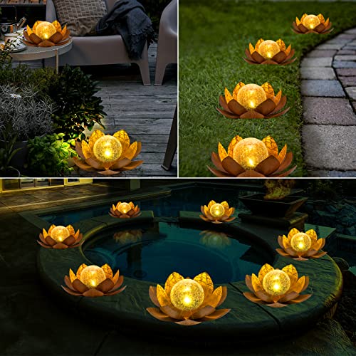 Solar Light Outdoor (2 Count)