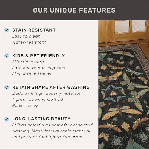 Small Black Entryway Runner Rug (8 Sq Ft)