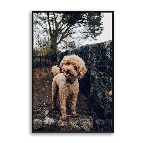 Custom Framed Canvas Prints with Your Photo for Pets