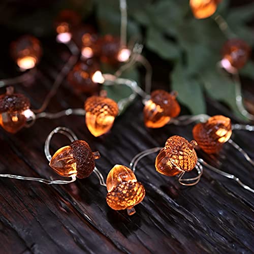 Thanksgiving Acorn Lights Fall Garland Decorative Fairy String Light Cute Novelty Lights 30 LEDs 10 ft USB or Battery Operated for Bedroom Wedding Xmas Harvest Decor (10 Foot)