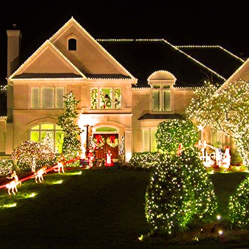 Battery Operated Christmas Lights (50 Count)