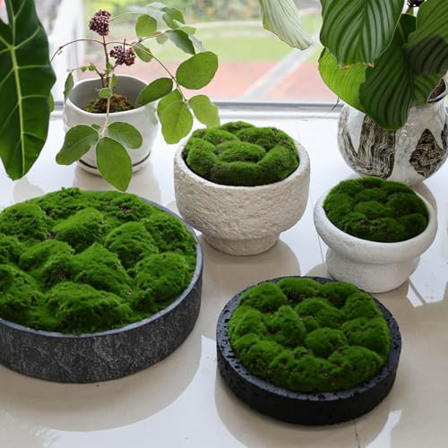 New Moss Bowl