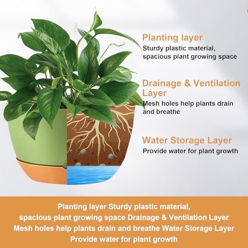 Hanging Planters (3 Count)