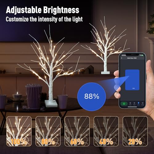 Smart Christmas Decorations Indoor (2 Count)