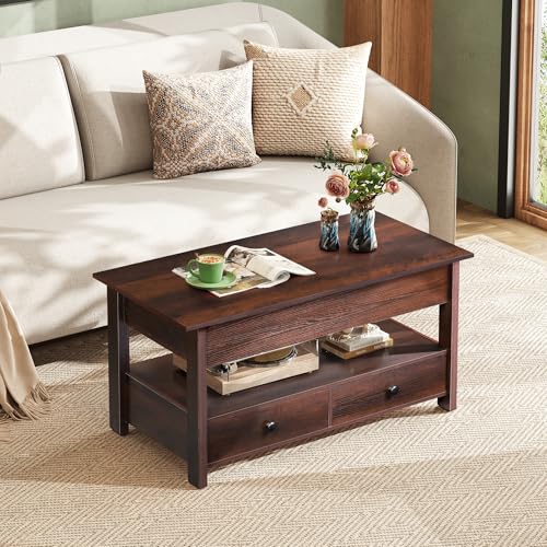 Lift Top Coffee Table with 2 Drawers