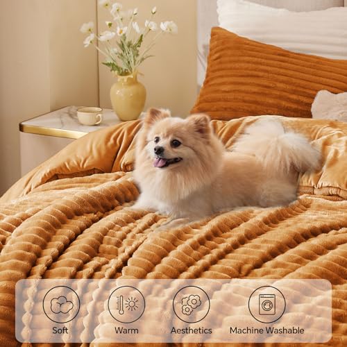Fleece Twin Twin XL Comforter Set