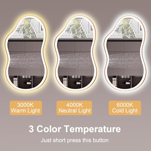 26''x46'' Irregular LED Bathroom Mirror with Lights & Gold Frame