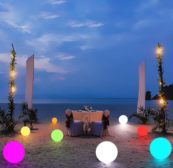 10 in LED Ball Light