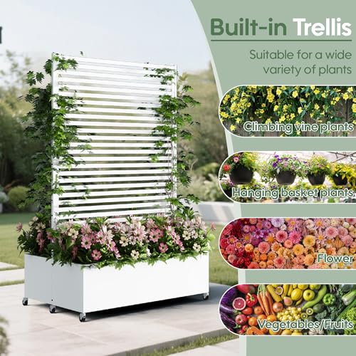 Double Metal Planter Box with Trellis Privacy Screen
