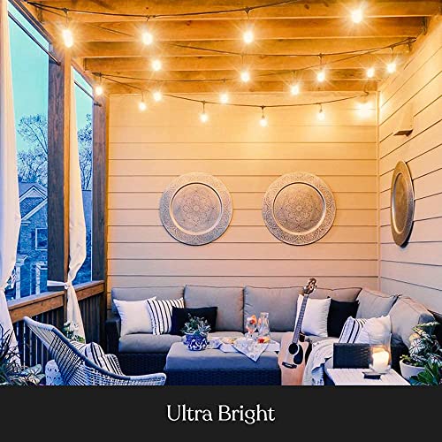 Ambience Pro Incandescent Outdoor String Lights (48 Foot)