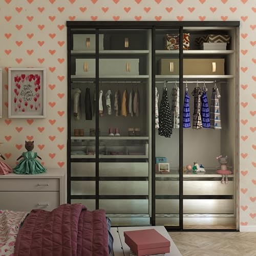 Glass Room Divider and Sliding Glass Closet Doors