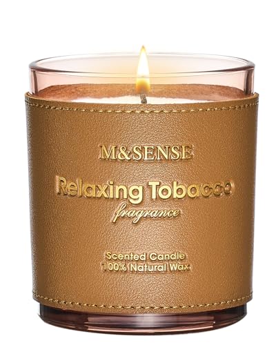 Cinnamon Tobacco Scented Soy Candle 10oz Leather Cover (10 Ounce)