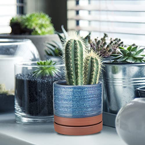 6 Inch Plant Pots