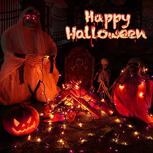 Orange & Purple Halloween Lights (25 Foot)