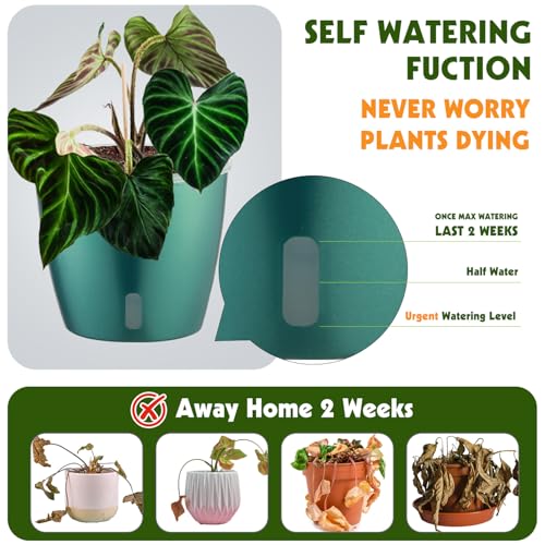 Self Watering Pots for Indoor Plants (4 Count)