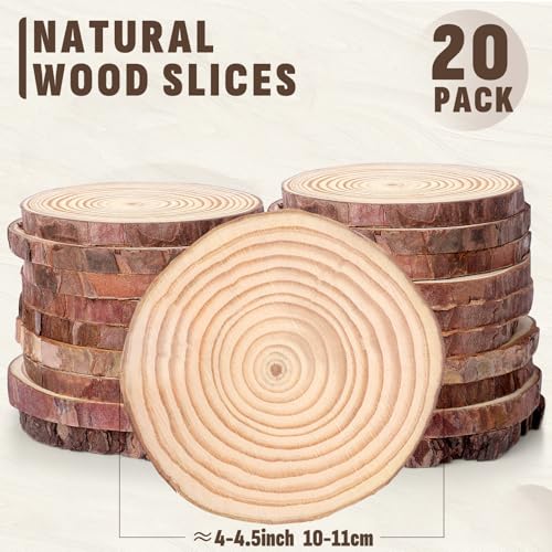 Unfinished Natural Wood Slices 4 (20 Count)