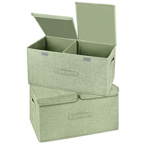 2 Pack Large Storage Boxes with Lids and Handles (2 Count)
