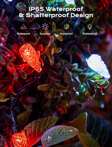 Red White Solar Operated C6 Strawberry String Lights