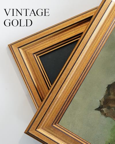 Vintage Gold Framed Wall Art for Living Room