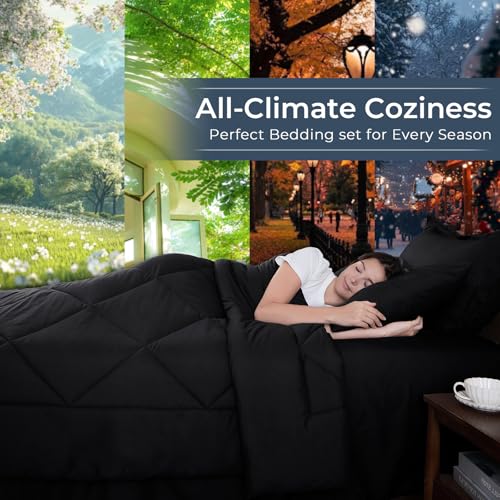 7 Piece Queen Comforter Set