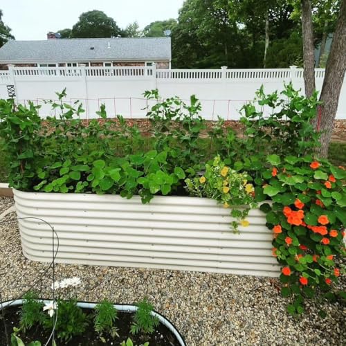 32" Extra Tall Raised Garden Bed Kits